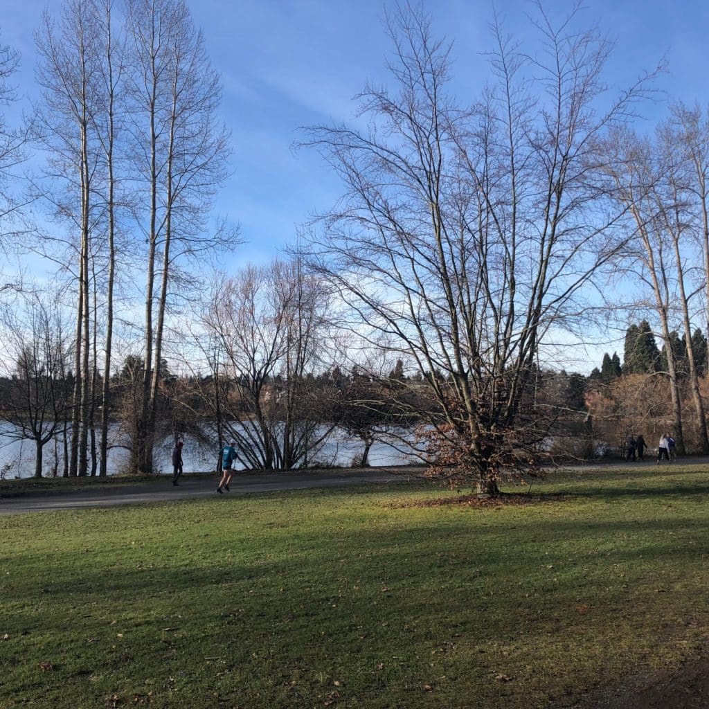 Top 5 Things to Do When Visiting Seattle in January