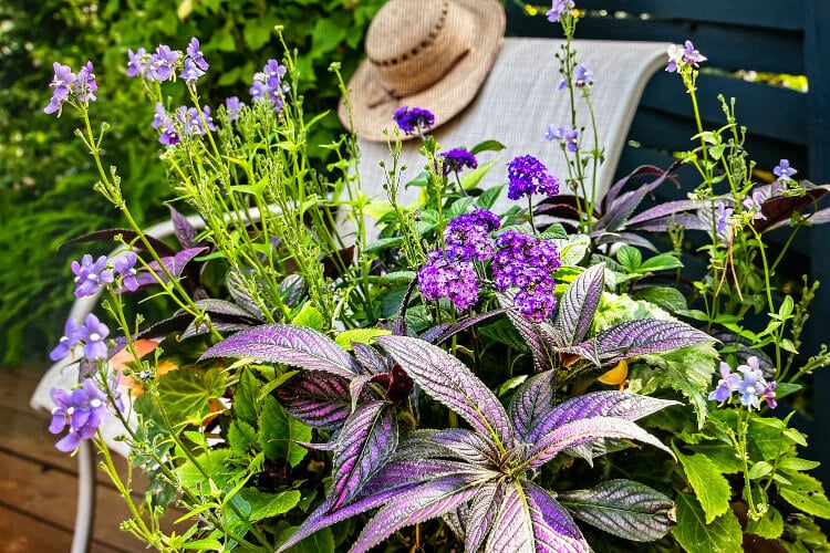 Tan chair sitting on wooden deck with straw hat hanging on corner surrounded by greenery and purple flowers